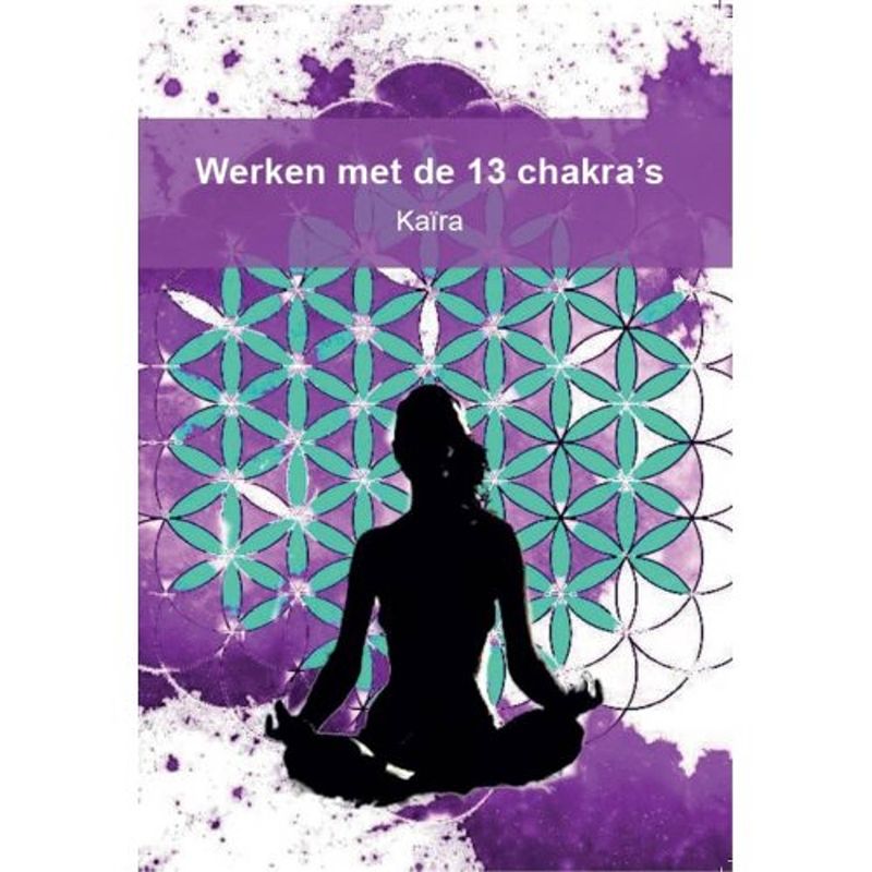 Foto van Werken met de 13 chakra's