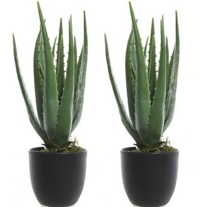 Foto van 2x groene aloe vera kunstplanten 35 cm in zwarte pot - kunstplanten