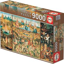 Foto van Educa puzzle garden of delights 9000 stukjes