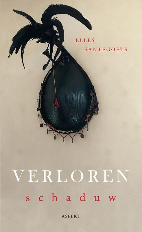 Foto van Verloren schaduw - elles santegoets - ebook (9789464241716)