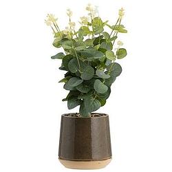 Foto van Kunstplant in pot - groen - 41 cm - leen bakker