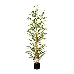 Foto van Kopu® kunstplant bamboe 120 cm - in zwarte pot - nepplant