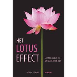 Foto van Het lotuseffect