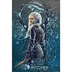 Foto van Pyramid the witcher ciri the swallow poster 61x91,5cm