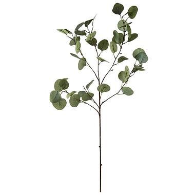 Foto van Decoratieve tak eucalyptus spray 4 stuks - grijs/groen - 87 cm - leen bakker