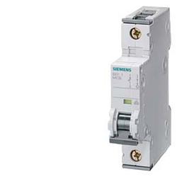 Foto van Siemens 5sy61067 5sy6106-7 zekeringautomaat 6 a 230 v, 400 v