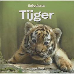 Foto van Tijger - babydieren