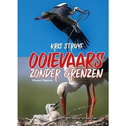 Foto van Ooievaars zonder grenzen