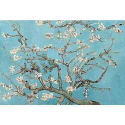 Foto van Wizard+genius van gogh almond blossom vlies fotobehang 384x260cm 8-banen