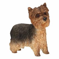 Foto van Beeldje yorkshire terrier 11 cm - beeldjes