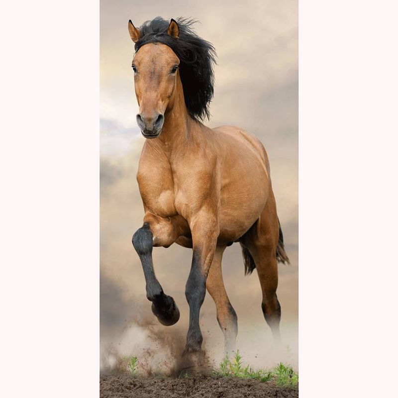 Foto van Animal pictures paard - strandlaken - 70 x 140 cm - multi