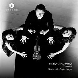 Foto van Piano trios volume 3 - cd (5060189561018)