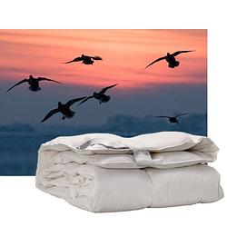 Foto van Isleep enkel dekbed 60% dons - warmteklasse 2 - lits-jumeaux xl 260x220 cm