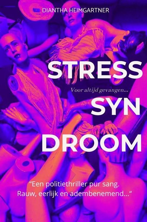 Foto van Stresssyndroom - diantha heimgartner - ebook