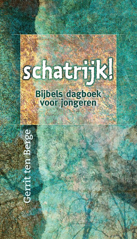 Foto van Schatrijk! - gerrit ten berge - ebook (9789085202073)