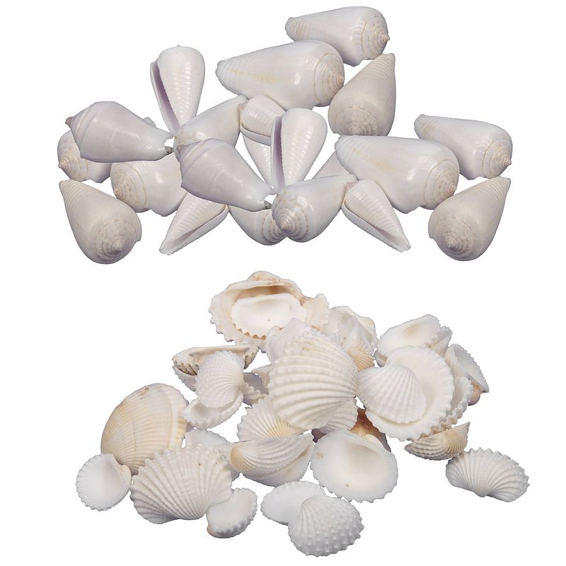Foto van Decoratie/hobby schelpen mix - 2x 500 gr - naturel wit en gebleekt - hobbydecoratieobject