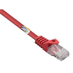 Foto van Renkforce rf-5043840 rj45 netwerkkabel, patchkabel cat 5e u/utp 1.00 m rood snagless 1 stuk(s)