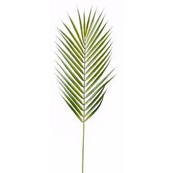 Foto van Kunstplant chamaedorea palm blad 75 cm - kunstbloemen