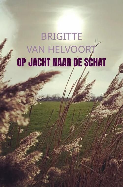 Foto van Op jacht naar de schat - brigitte van helvoort - paperback (9789403661216)