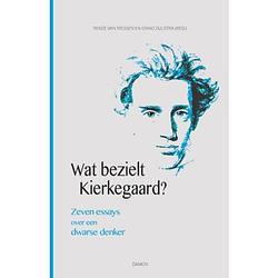 Foto van Wat bezielt kierkegaard?