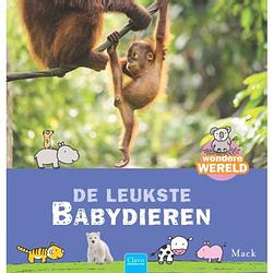 Foto van De leukste babydieren - wondere wereld