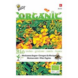 Foto van Buzzy - 5 stuks organic tagetes lucida tuinplus