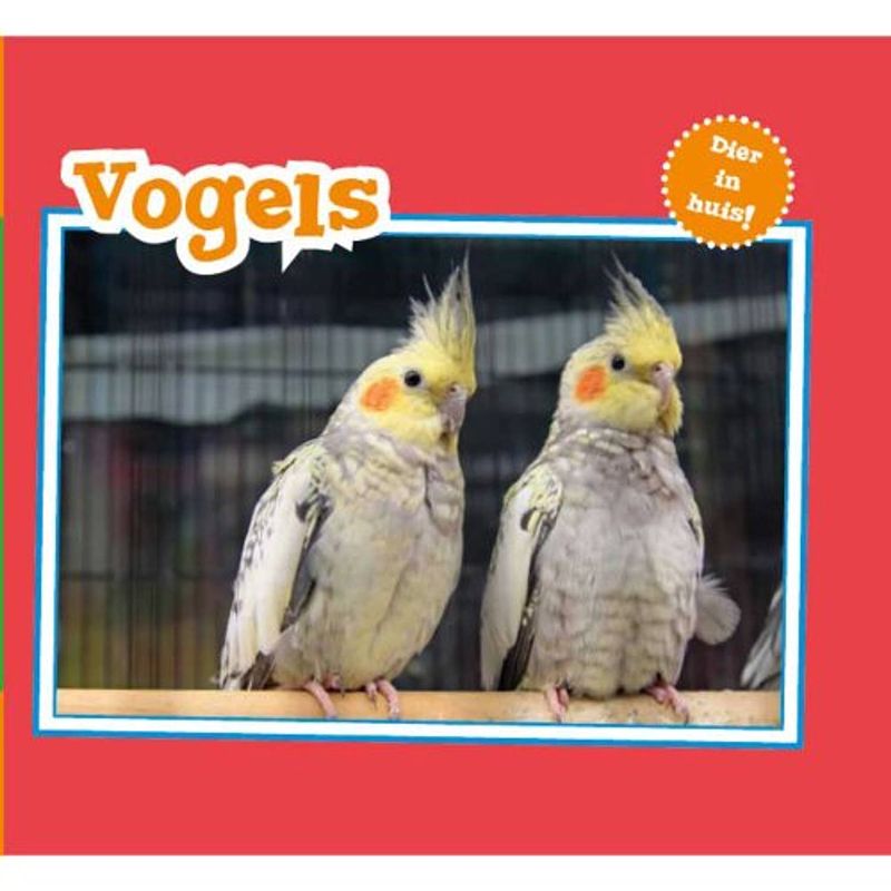 Foto van Vogels - dier in huis