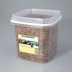 Foto van Suren collection - meelwormen 2.5 liter