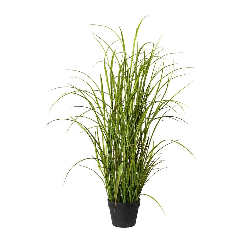 Foto van Kopu® kunstplant grasplant 120 cm - in zwarte pot - nepplant