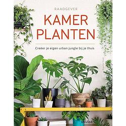 Foto van Raadgever kamerplanten