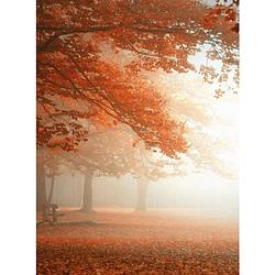 Foto van Wizard+genius sleeping forest vlies fotobehang 192x260cm 4-banen