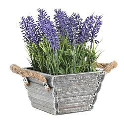 Foto van Items lavendel bloemen kunstplant in bloempot - paarse bloemen - 15 x 20 cm - bloemstukje - kunstplanten