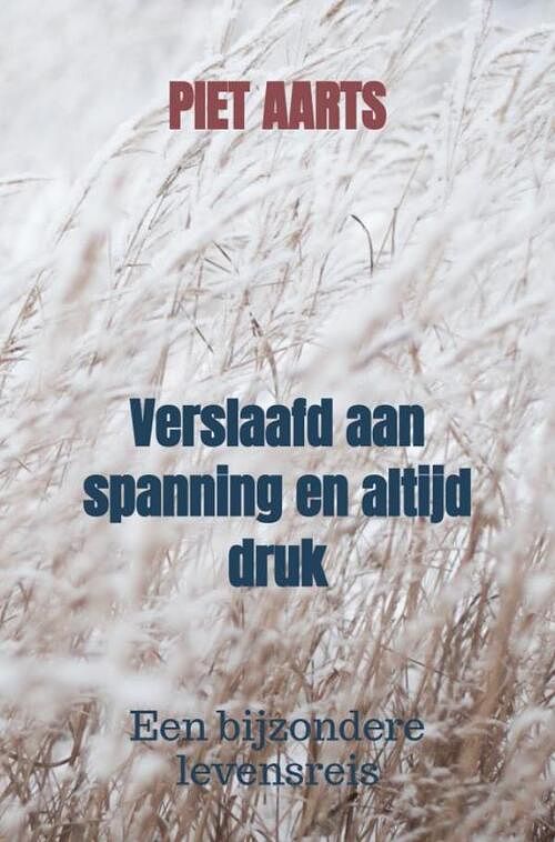 Foto van Verslaafd aan spanning en altijd druk - piet aarts - paperback (9789464804461)