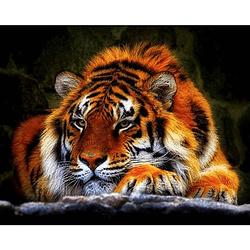 Foto van Diamond painting pakket liggende tijger - volledig - full- 30x40 cm - seos shop ®