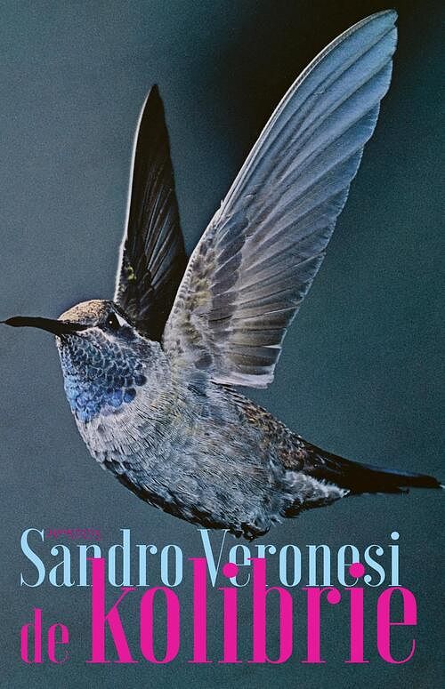 Foto van De kolibrie - sandro veronesi - ebook (9789044643909)