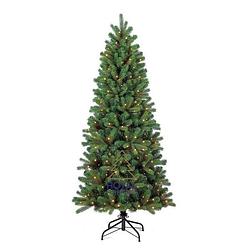 Foto van Royal christmas kunstkerstboom alaska slank 210cm met led + smart adapter