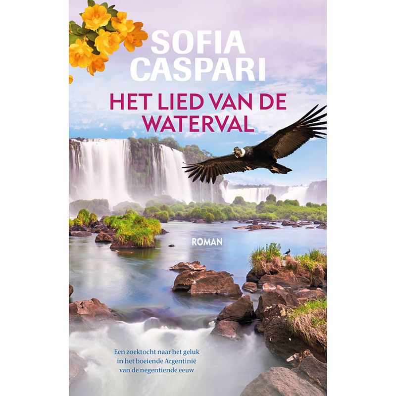 Foto van Het lied van de waterval