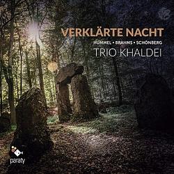 Foto van Verklarte nacht - cd (3760213651181)