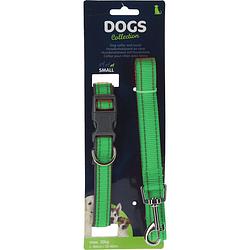 Foto van Dogs collection hondenhalsband en riem 100 cm nylon groen