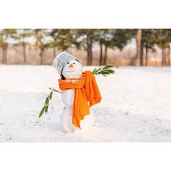 Foto van Inductiebeschermer - sneeuwpop - 78x78 cm