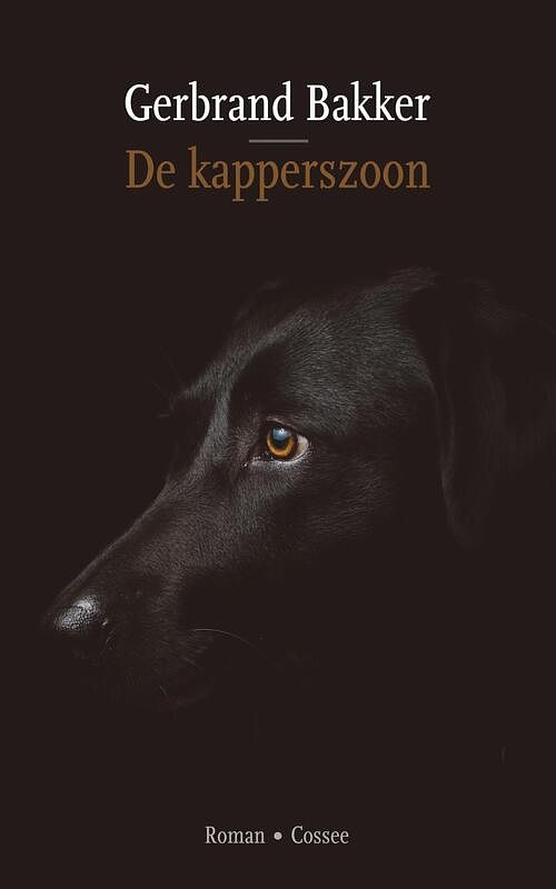 Foto van De kapperszoon - gerbrand bakker - ebook (9789464520026)