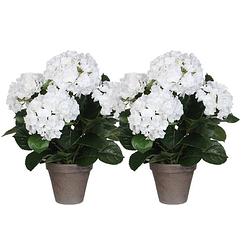 Foto van 2x witte hydrangea/hortensia kunstplanten 45 cm in grijze pot - kunstplanten