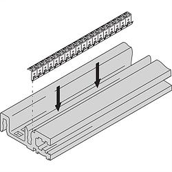 Foto van Schroff 24576084 19 inch rails voor patchkast