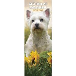 Foto van West highland white terrier kalender 2023 slimline