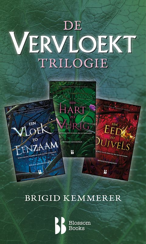 Foto van De vervloekt-trilogie - brigid kemmerer - ebook (9789463493956)