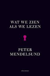 Foto van Wat we zien als we lezen - peter mendelsund - ebook (9789025446314)