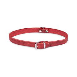 Foto van Dierenbenodigdheden vadigran halsband hond geolied leder rood 42cmx16mm m