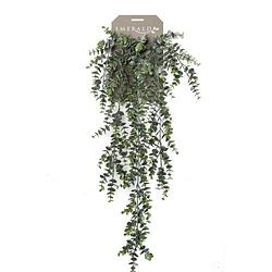 Foto van Kunstplant groene eucalyptus hangplant/tak 75 cm - kunstplanten