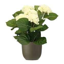 Foto van Hortensia kunstplant/kunstbloemen 36 cm - wit - in pot olijfgroen mat - kunstplanten