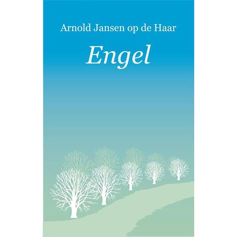 Foto van Engel